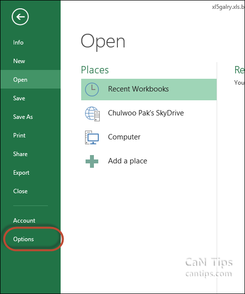 Excel 2013 옵션