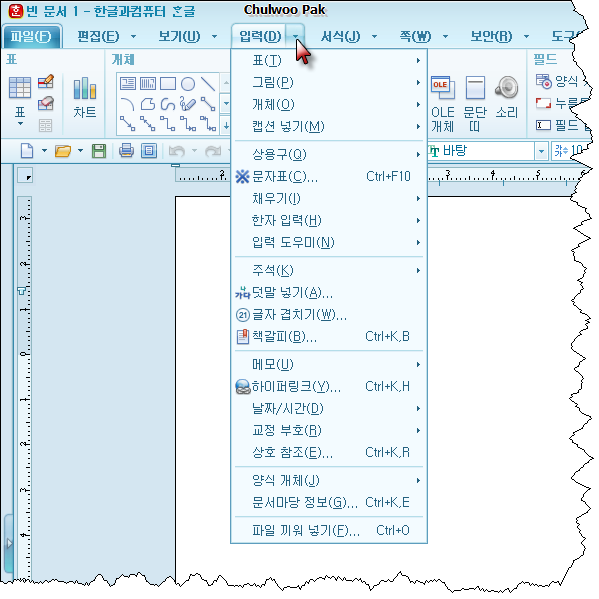 사용자 삽입 이미지