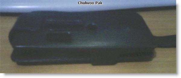 User inserted image
