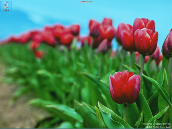 Windows 8 Release Preview 한국어 버전