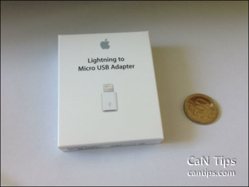 Lightning to Micro USB Adapter