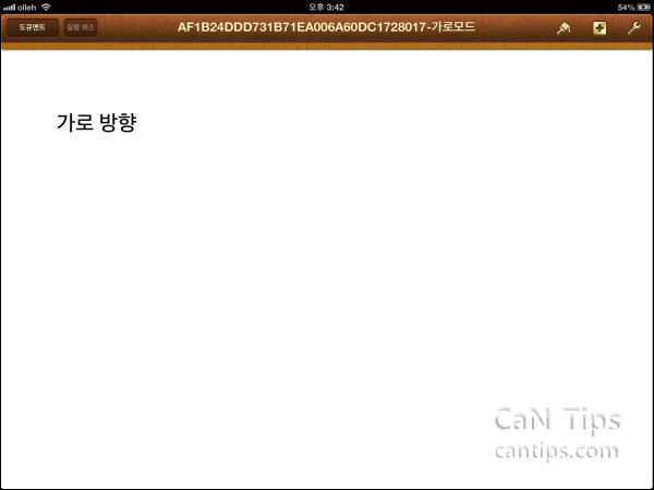 iPad Pages
