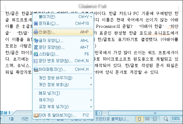 한/글(아래아한글)