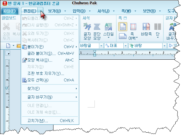 사용자 삽입 이미지