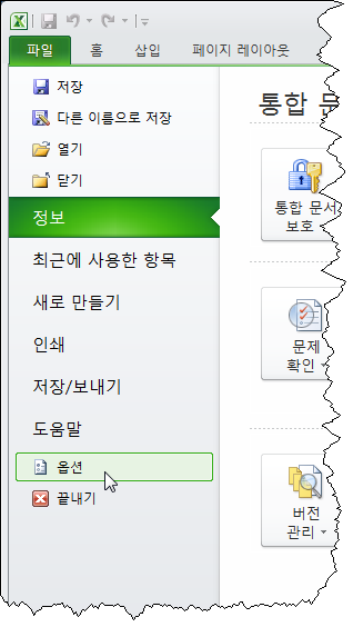 [Excel 2010] 리본 메뉴에 개발 도구 탭 표시하기