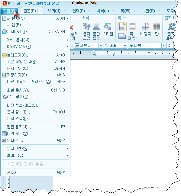 사용자 삽입 이미지