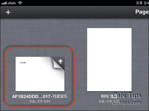 iPad Pages