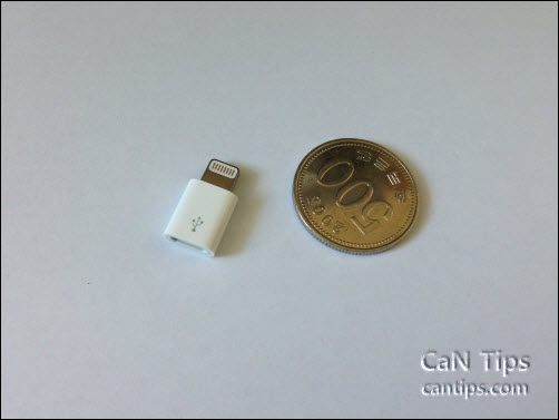 Lightning to Micro USB Adapter