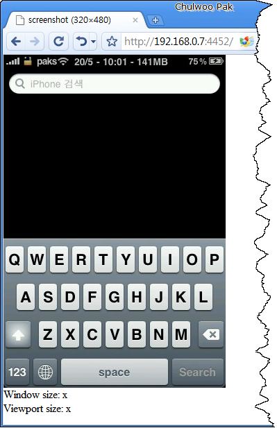 Display Recorder