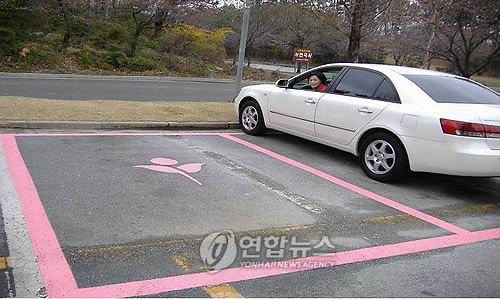 핑크 라인 주차장