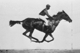 Galloping horse set to motion using photos by Eadweard Muybridge.