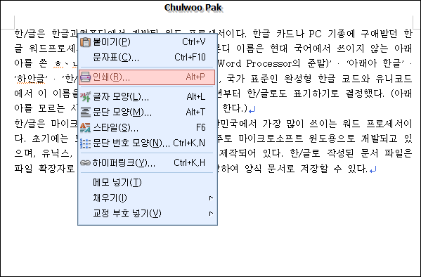 한/글(아래아한글)