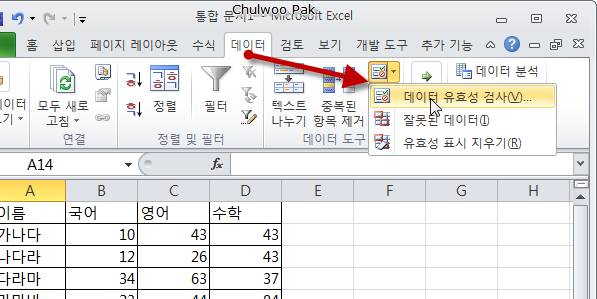 데이터 유효성 검사