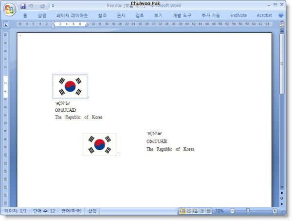 사용자 삽입 이미지