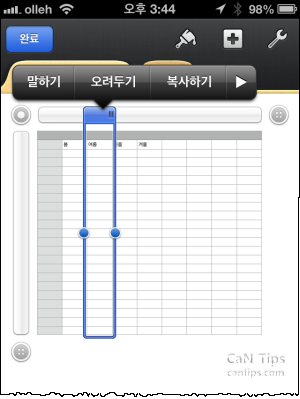 CaN (Computer & Network) Tips :: [iOS용 Numbers] 행이나 열 숨기기